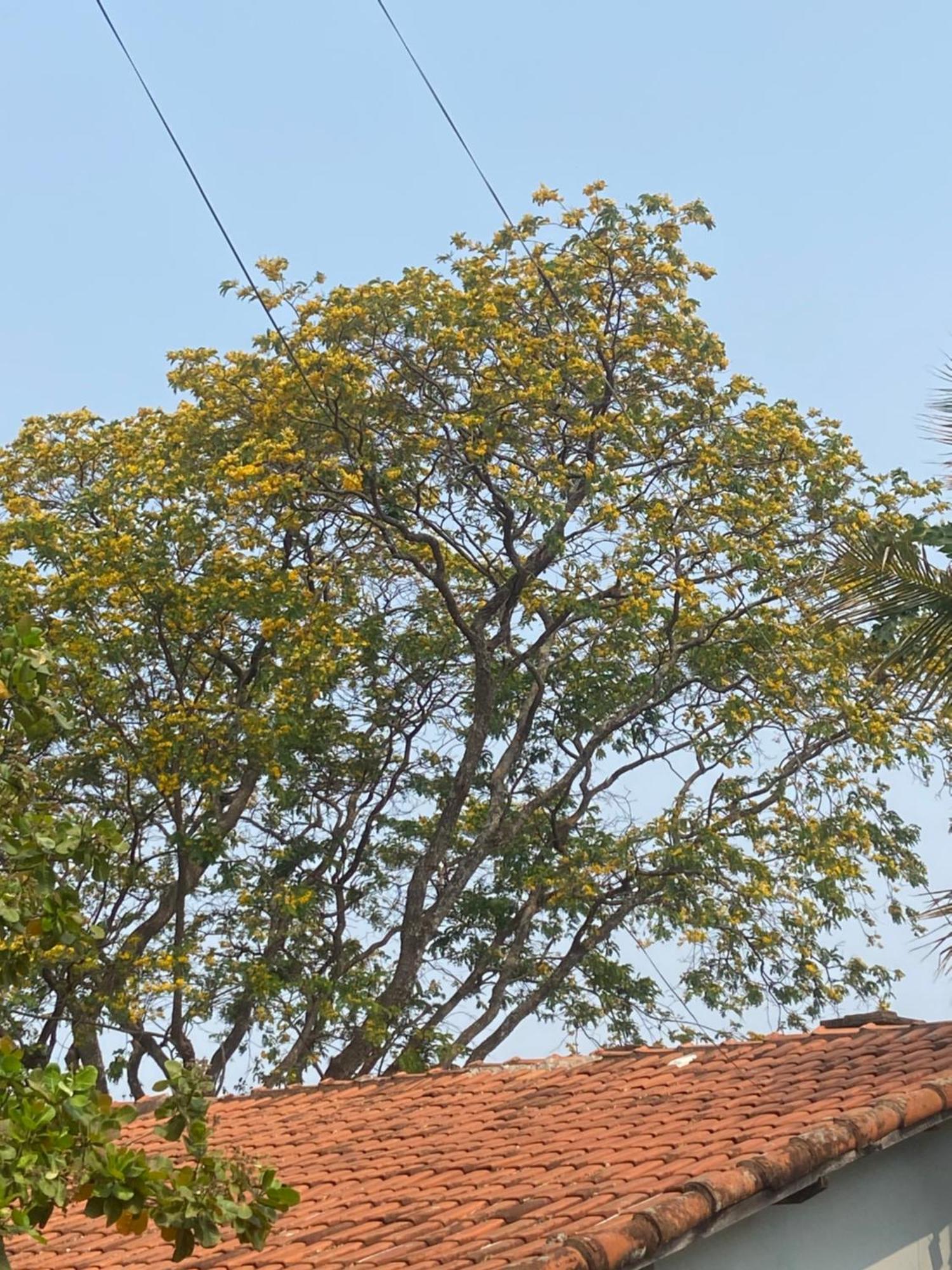 Quarto Privativo Chacara Pe Na Roca Brotas Eksteriør bilde
