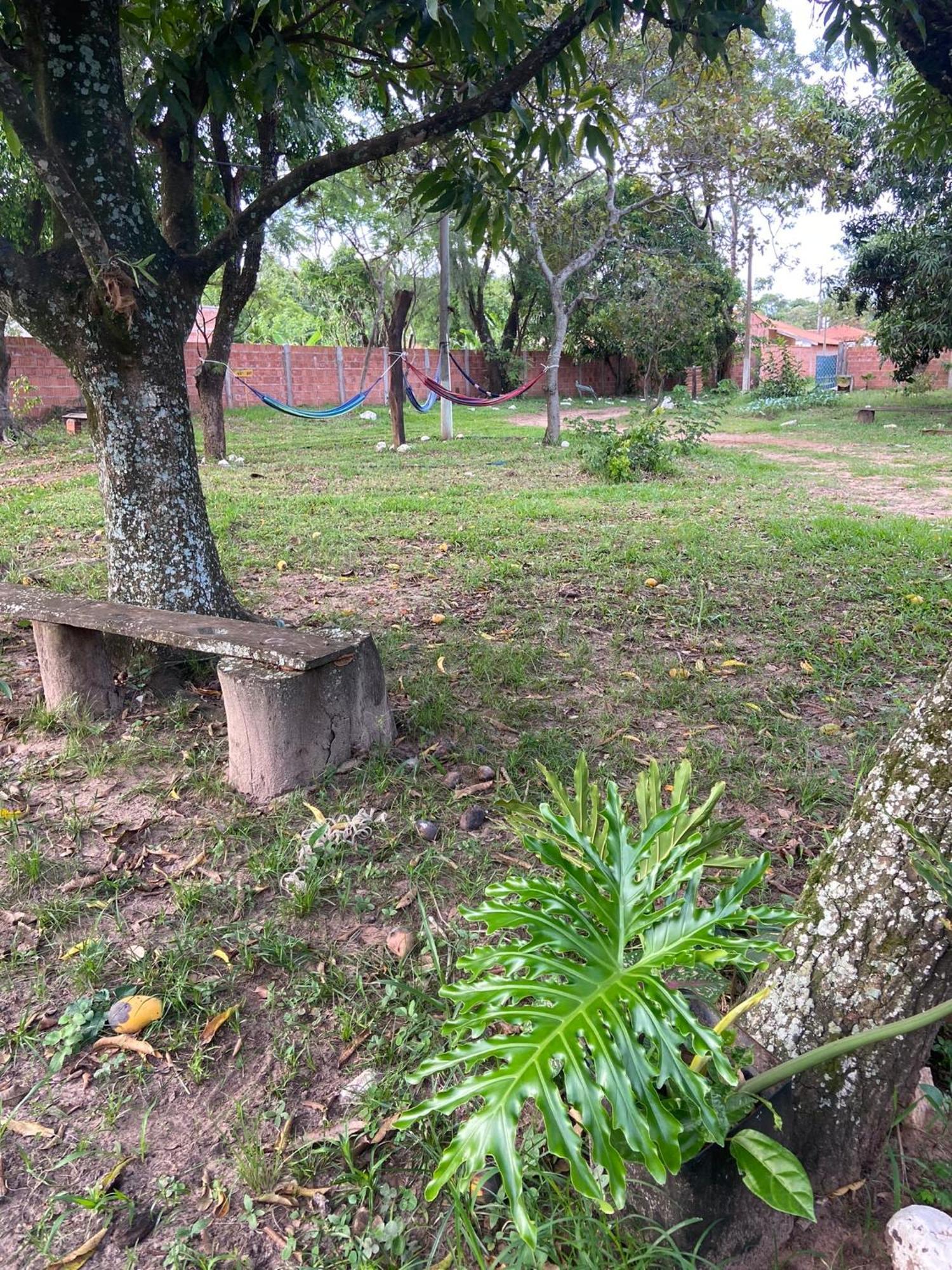 Quarto Privativo Chacara Pe Na Roca Brotas Eksteriør bilde